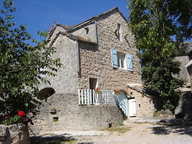 Saint-André-de-Vézines的民宿
