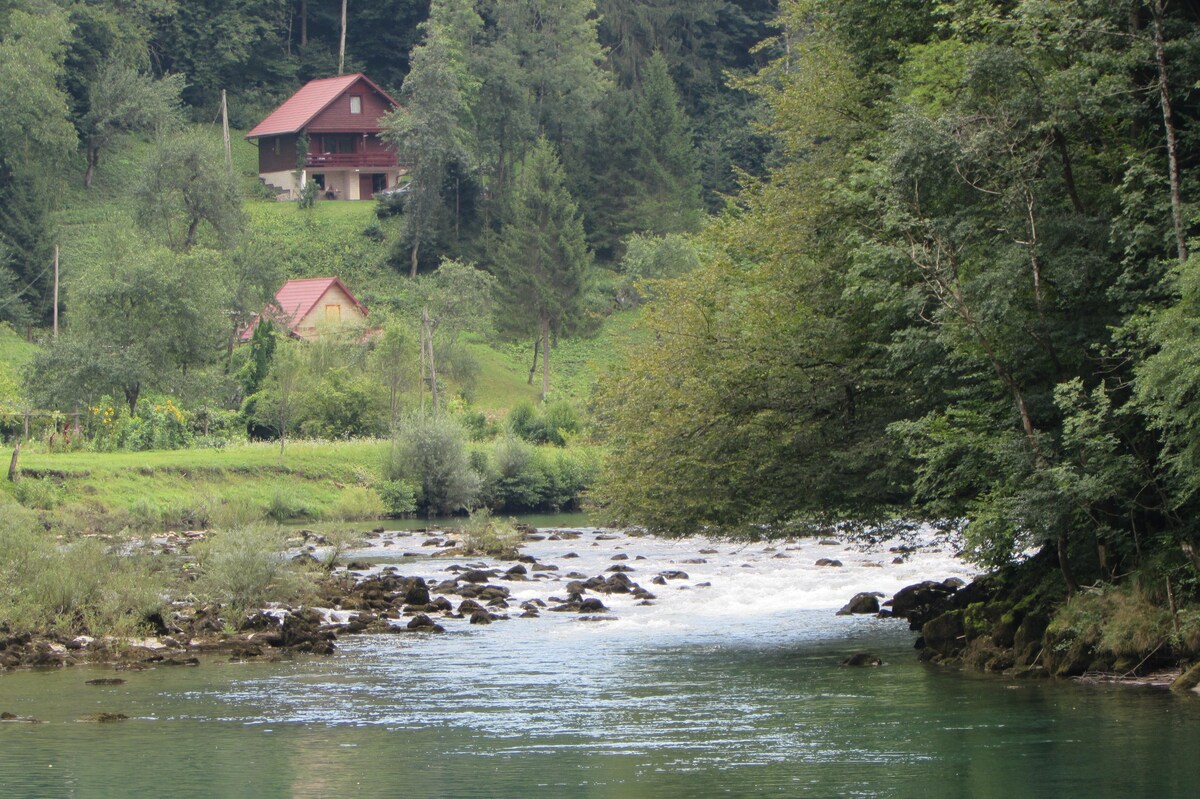 库帕河峡谷（ Kupa River Cany ） -克罗地亚