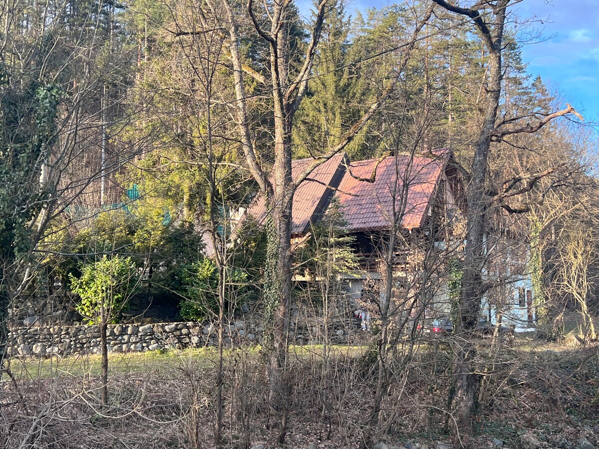 House in the woods, Kamenica, Zavidovici