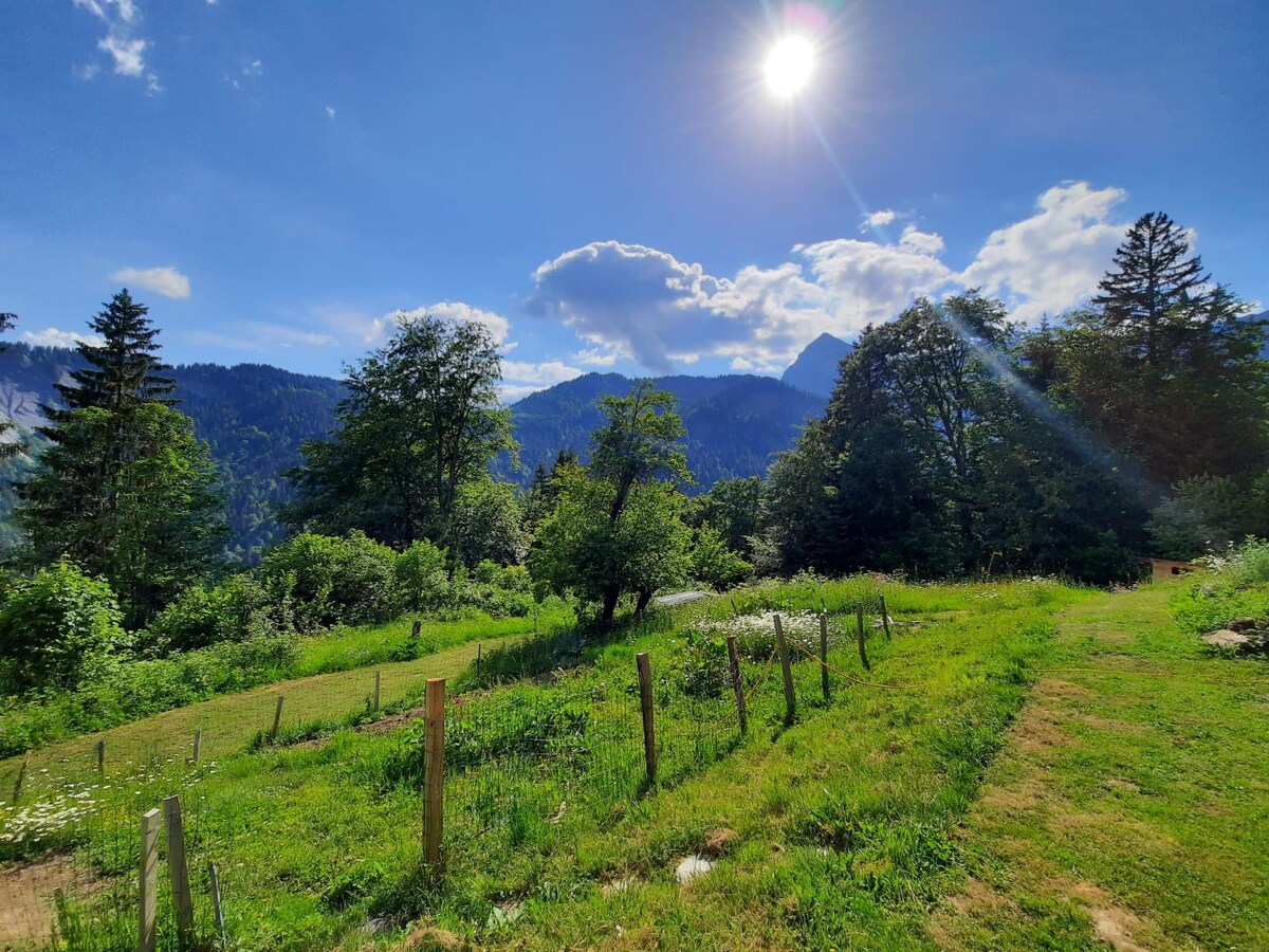 山间正宗高山度假木屋