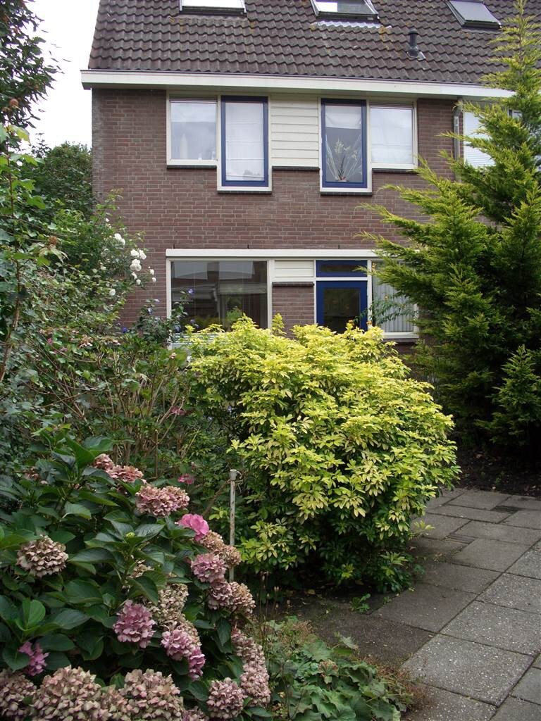 舒适的房子，阿姆斯特丹以南30公里