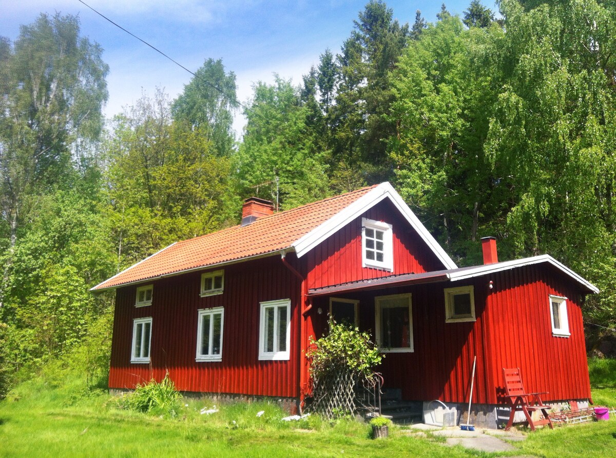 传统瑞典小屋Fjäras