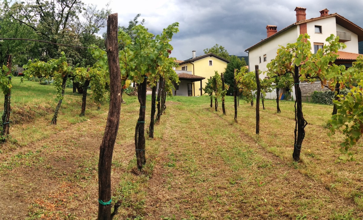 Small house in Vipava valley