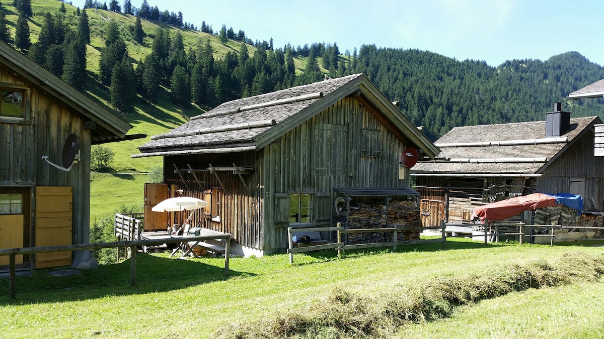 宁静追求者的山间小屋Liechtenstein Steg