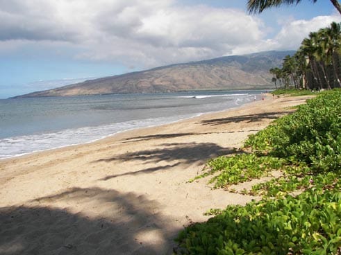 Nani Kai Hale Beachfront Maui Condo 202