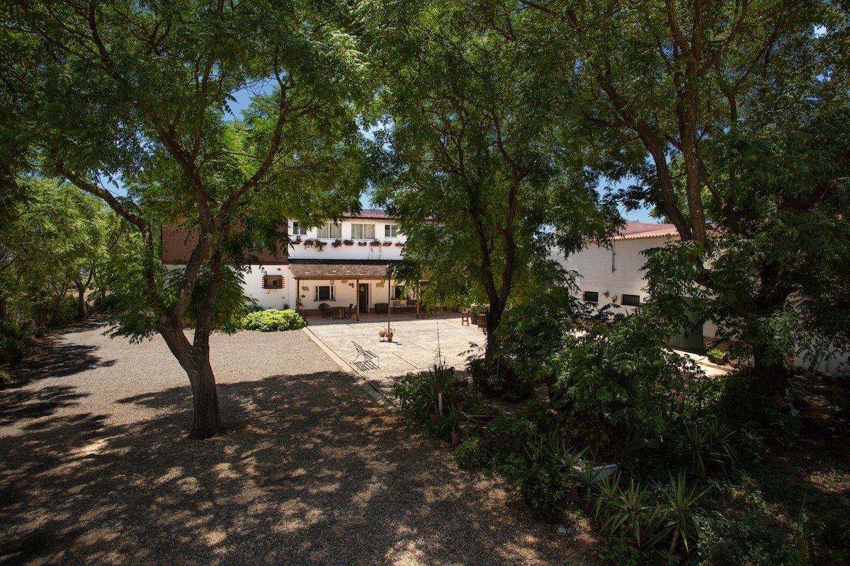 Apartamentos Cerros Bravo de Doñana