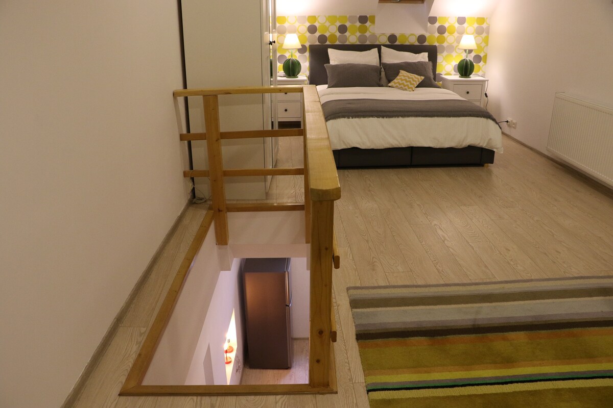 Fagaras舒适公寓、加大双人床和双人沙发床无线网络