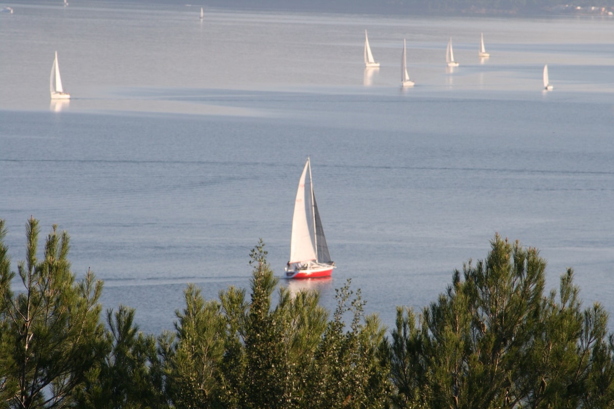 Petit mas en Provence景观非常好