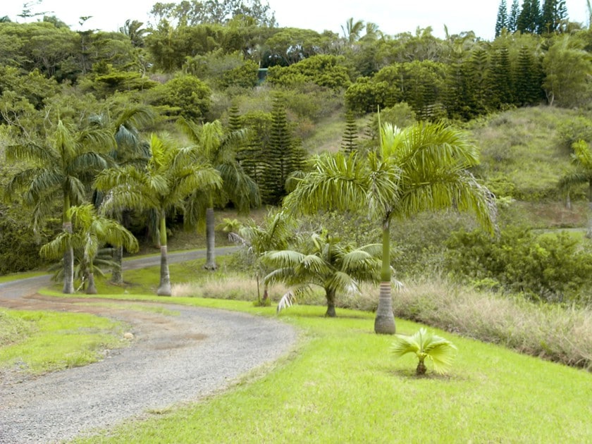 宁静的单间公寓- Hobby Fruit Farm -海滩10分钟