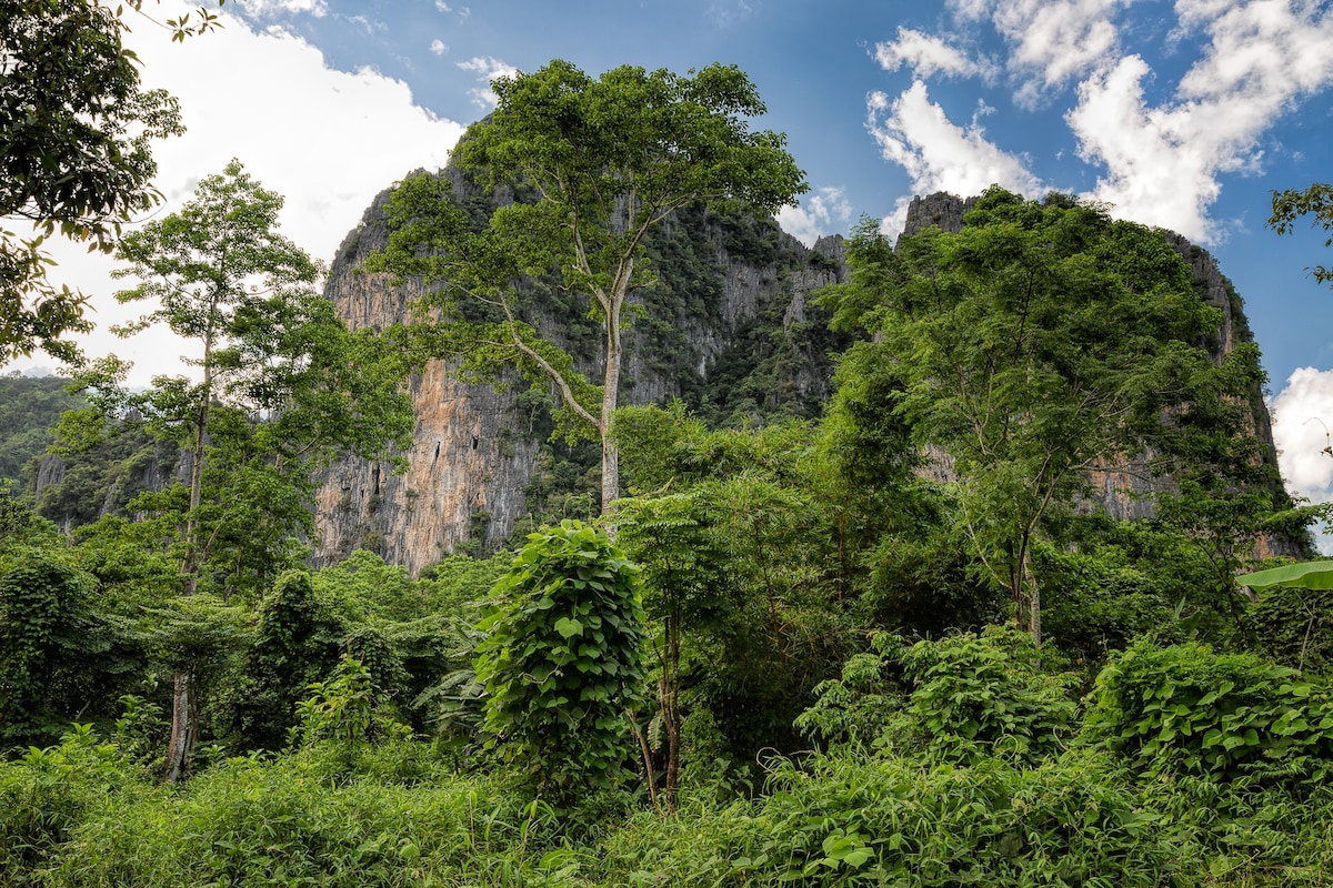 Lao Valhalla Bungalows &餐厅