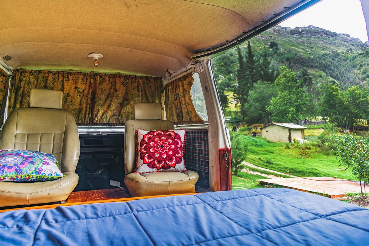 Hippie bus in the woods with a mountain view