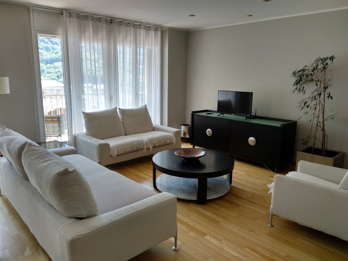 阳光明媚的公寓，位于安道尔拉维拉（ Andorra la Vella ）市中心