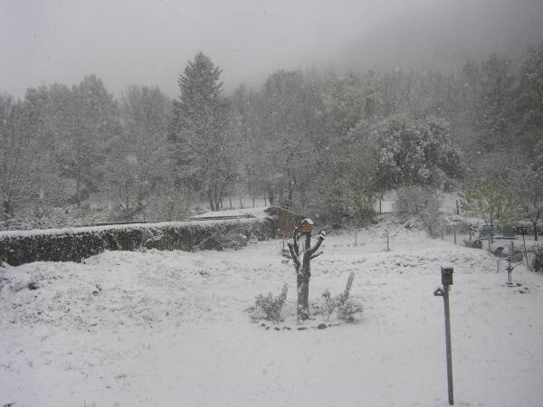 Gite au sein du Parc des Volcans, commerces à pied