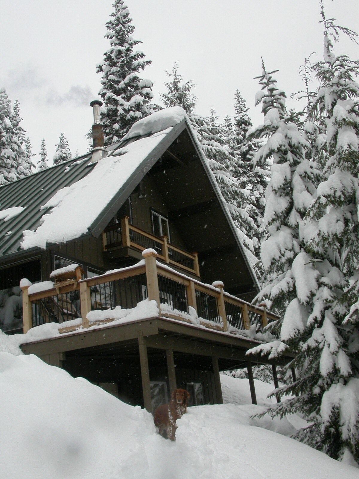 山上的家庭滑雪之家！