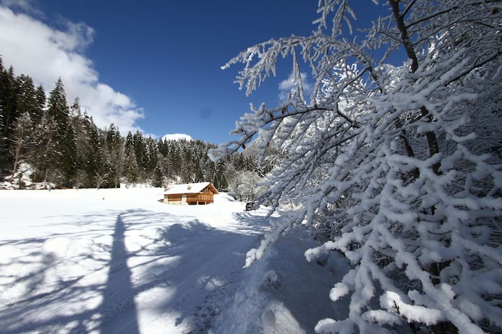 摩德纳迪-坎皮格里奥 (Madonna di Campiglio)的民宿