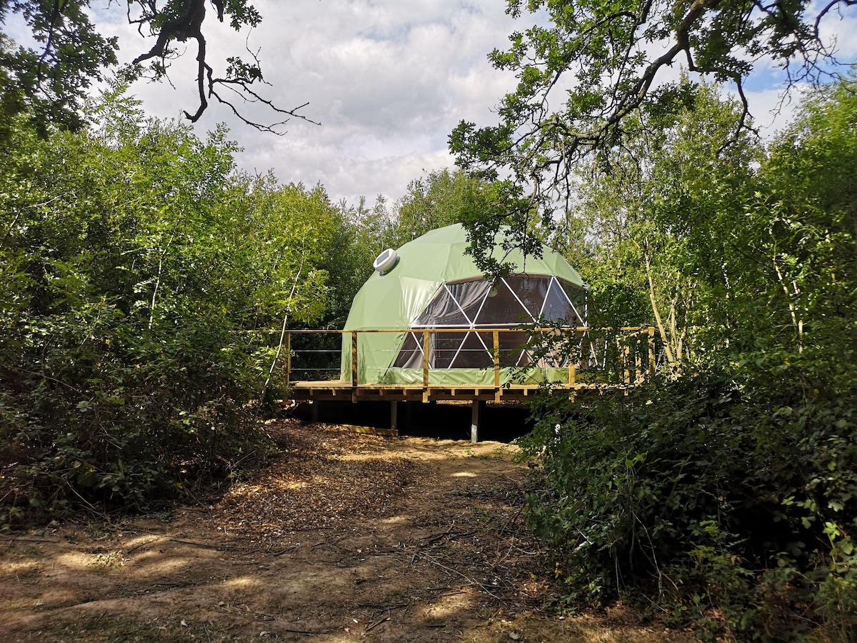 Glamp Wight Oak Geodesic Dome on the Isle of Wight