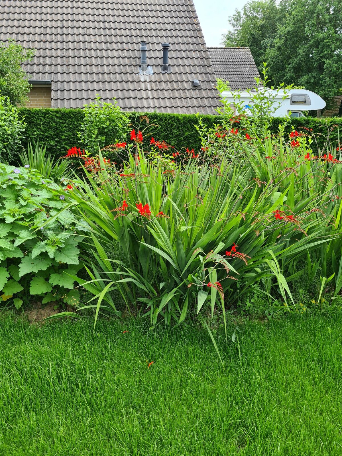 Gezellig vakantiehuis met zwembad op het park