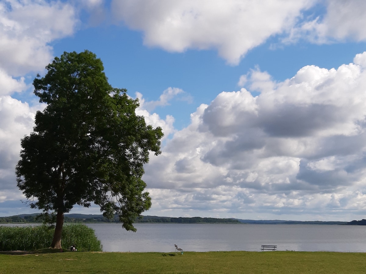 Ferienwohnung  "See-Pur" direkt am Malchiner See