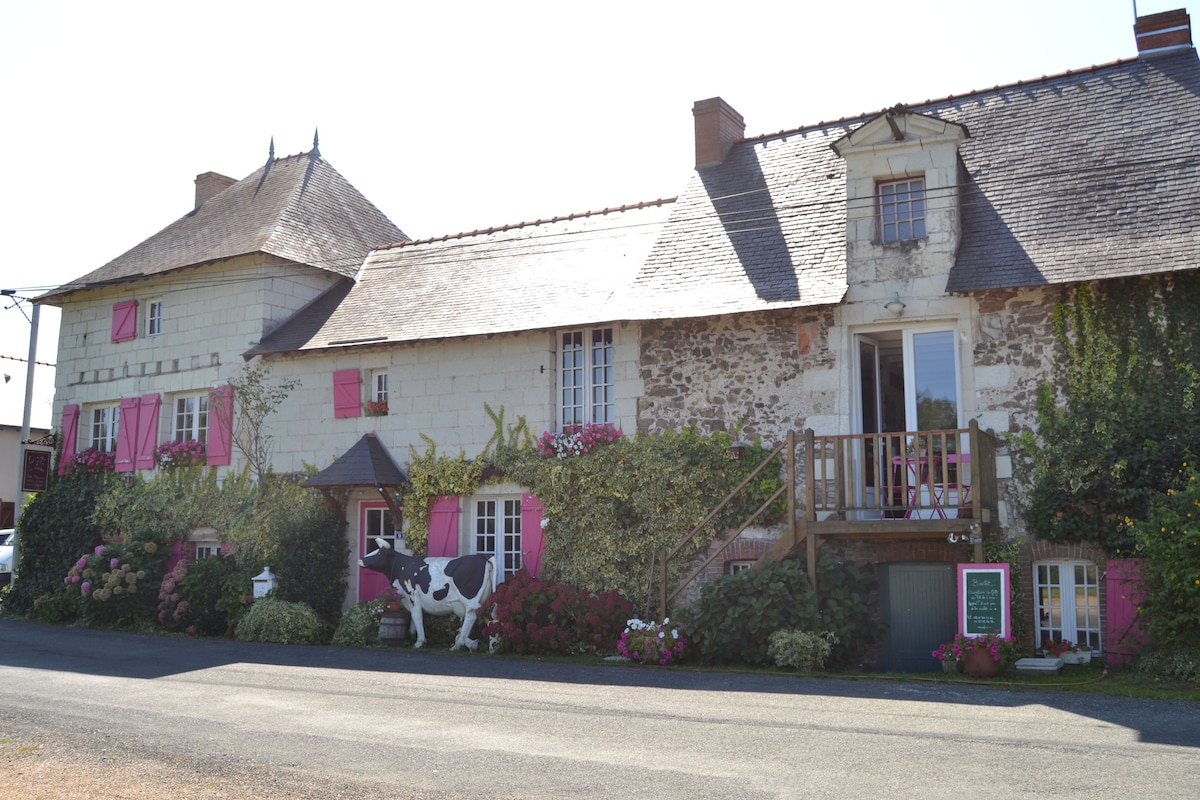 Logis au Fil de l 'Eau (face Loire)