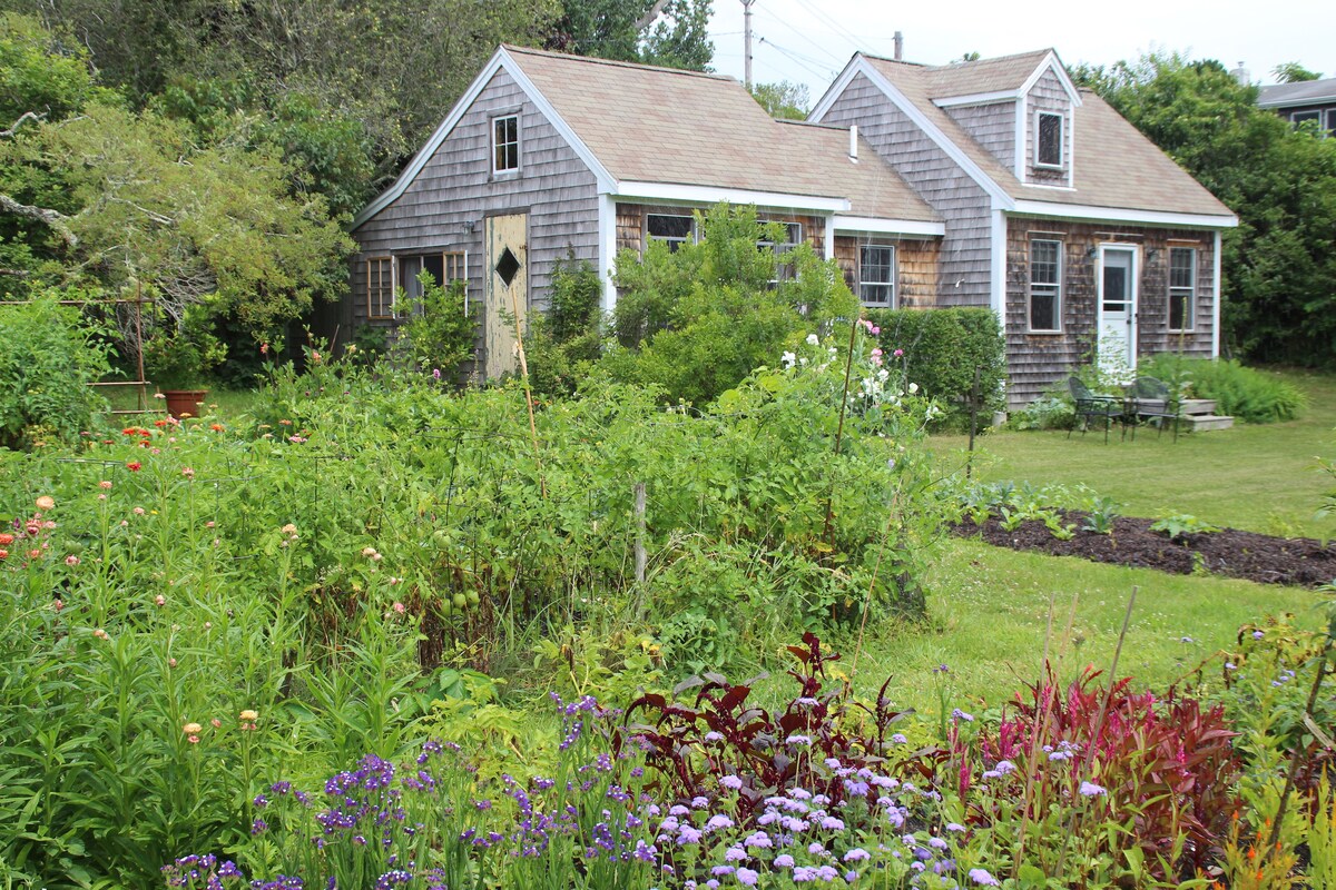 Light-filled North Truro cottage-Lovely gardens