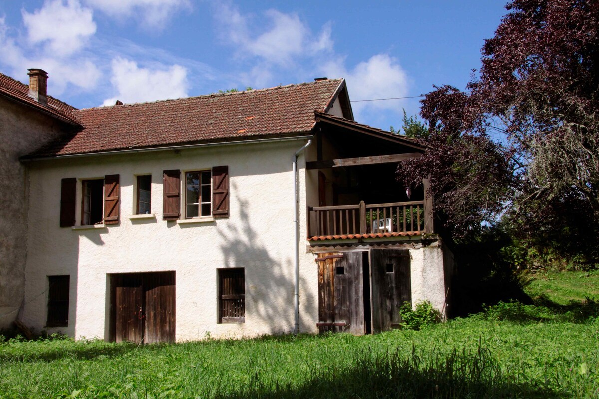 Maison bucolique au coeur des Pyrénées ariégeoises