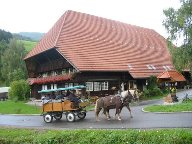 Gutach (Schwarzwaldbahn)的民宿