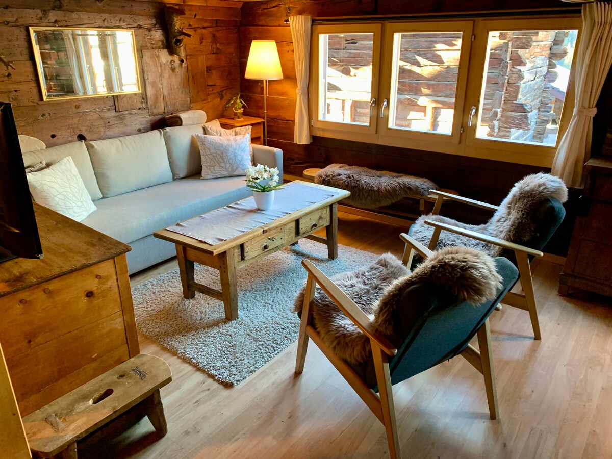 典型度假木屋中的舒适公寓