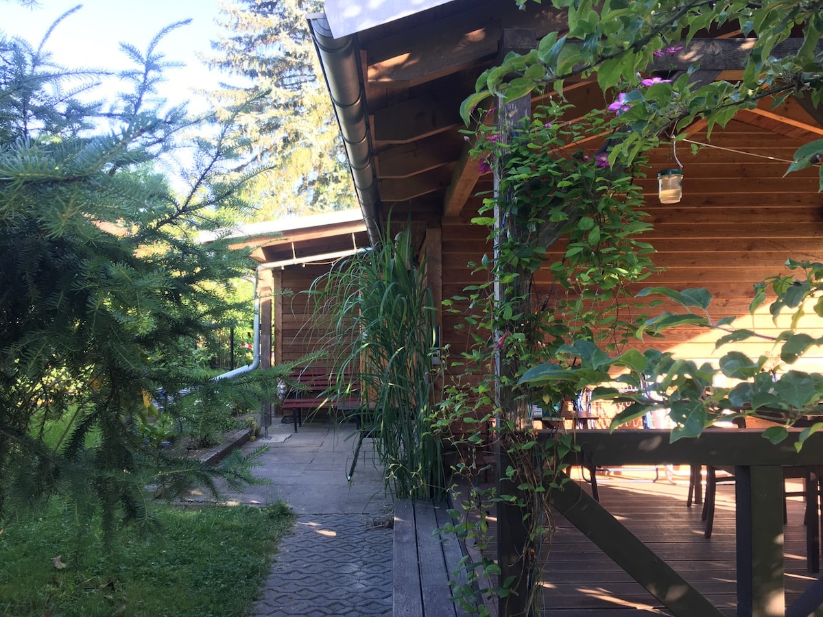萨克森州的木制小屋。瑞士-山脉和徒步旅行
