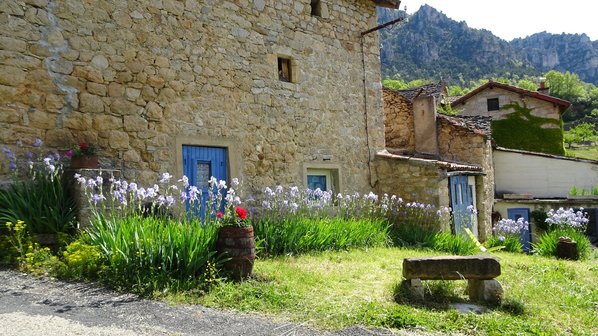 美丽乡村的老式牧羊小屋