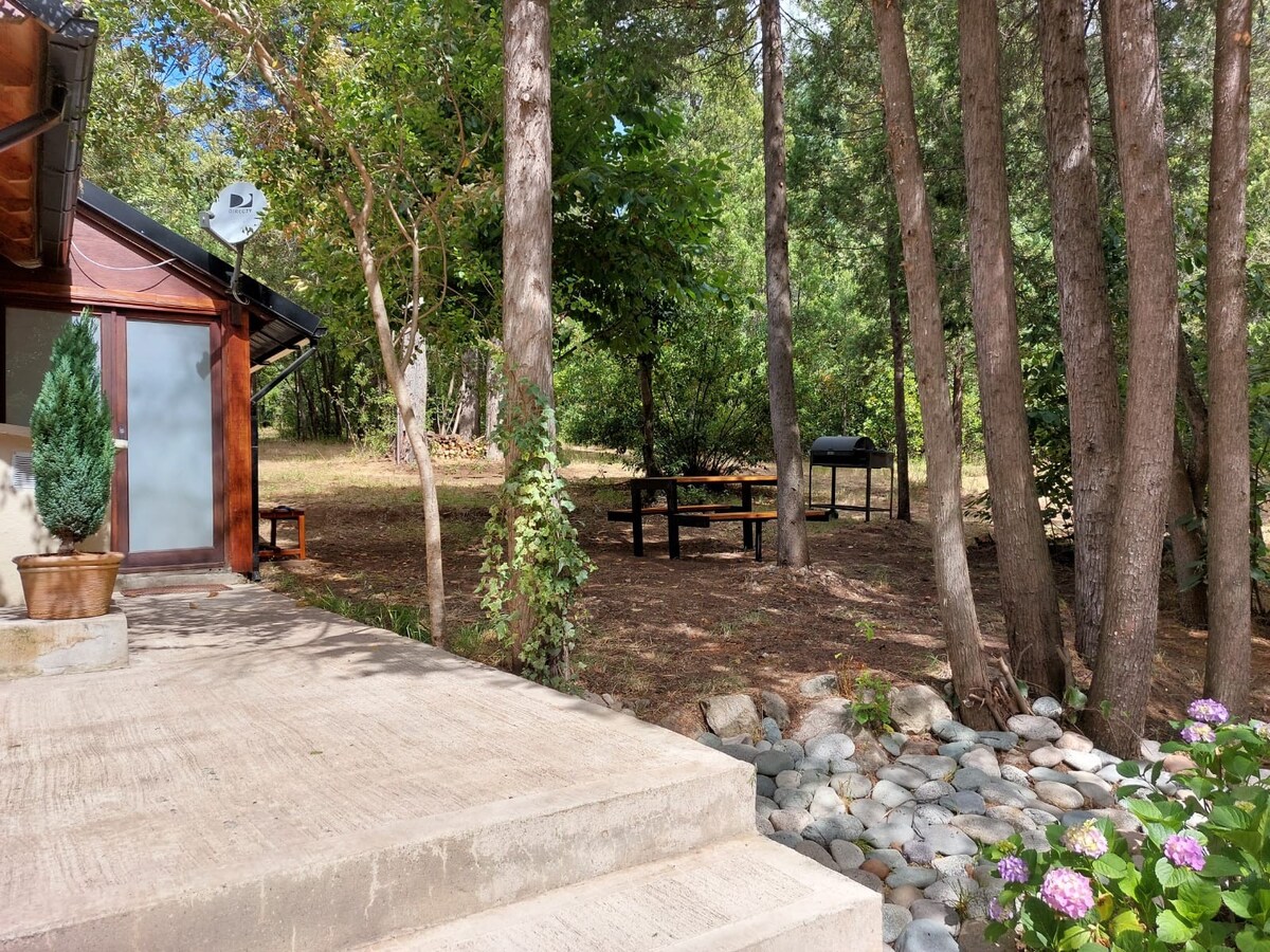Cabaña Bosque Nativo