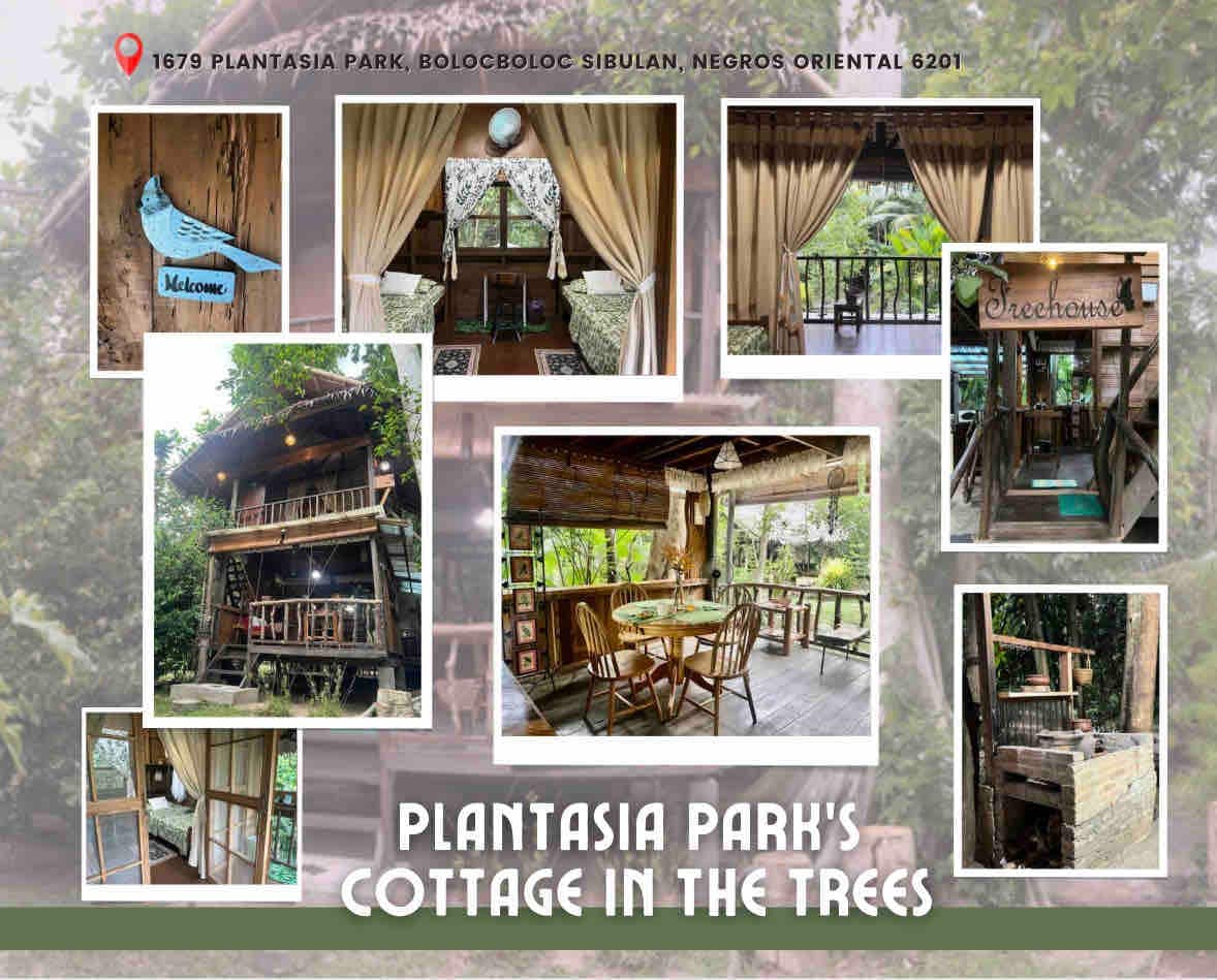 树屋（ Plantasia Park 's Cottage in the Trees ）