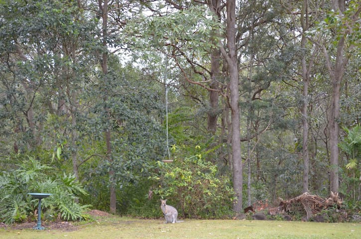 Capalaba的民宿