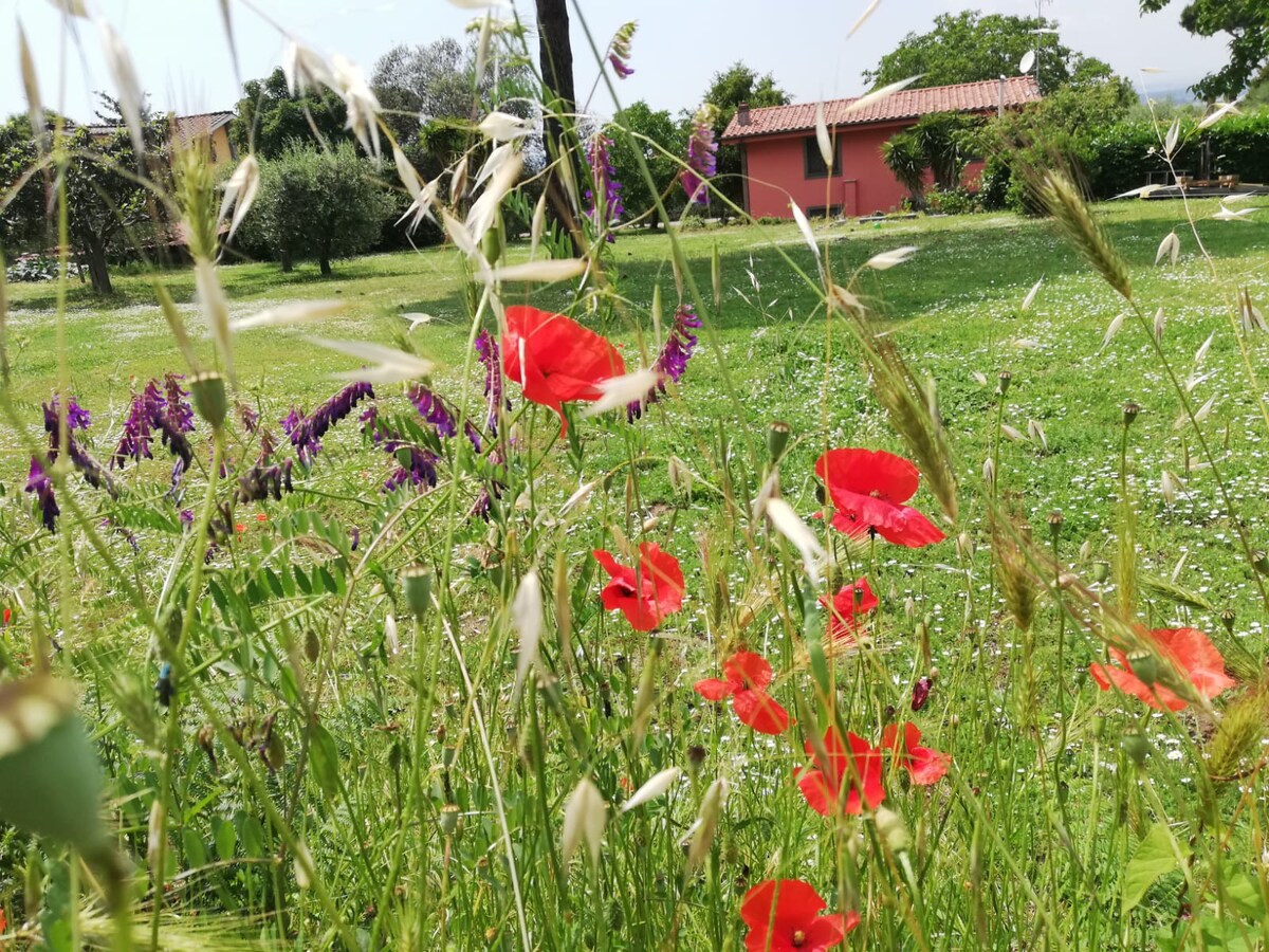 Lovely B&B room on hills of Albano lake, parking