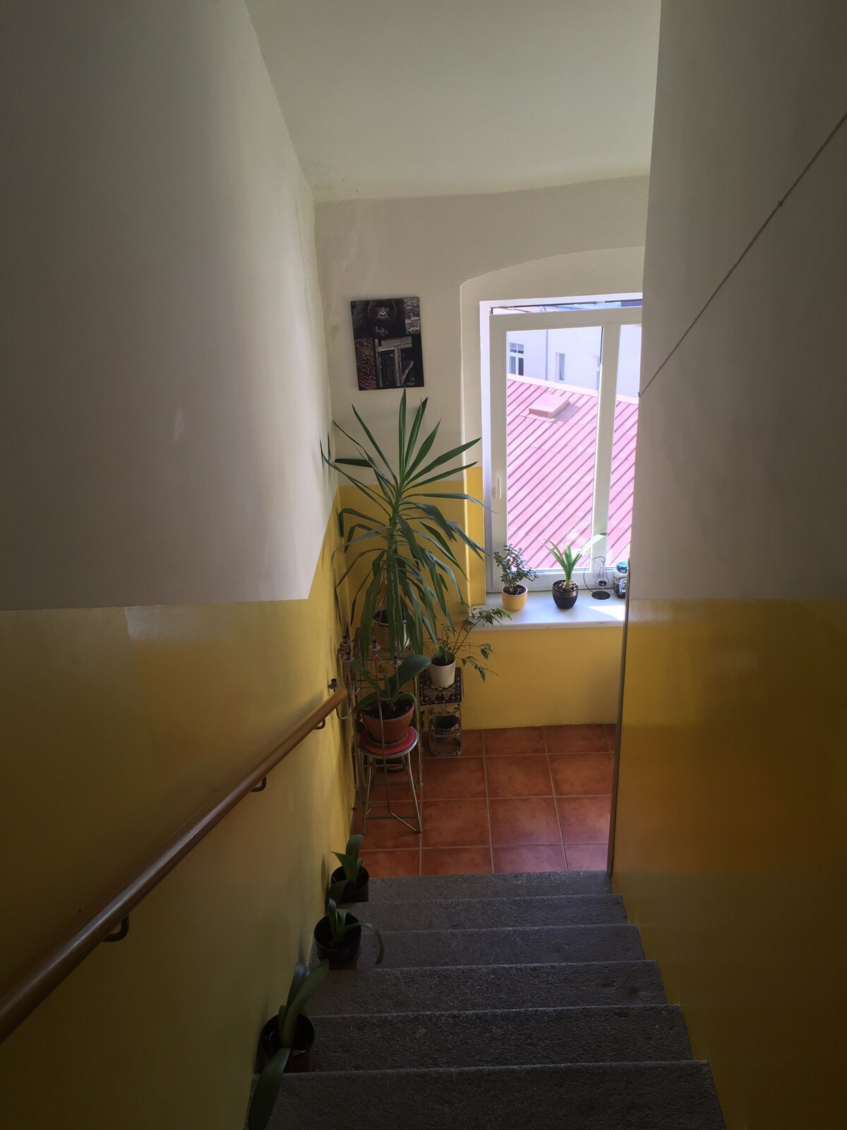 Loft公寓Svahova