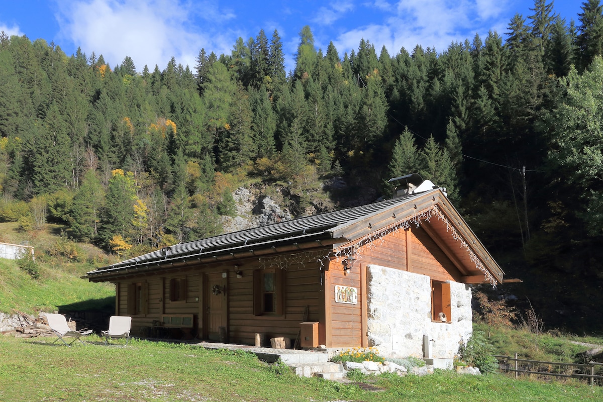 dolomiti val di fassa moena度假木屋