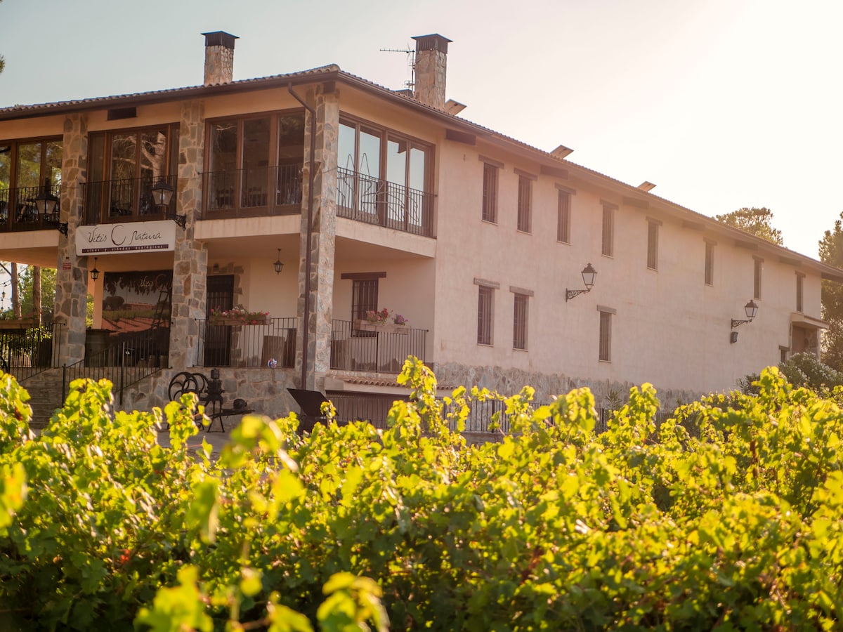 Casa Rural in Bodega. Vitis 's Inn