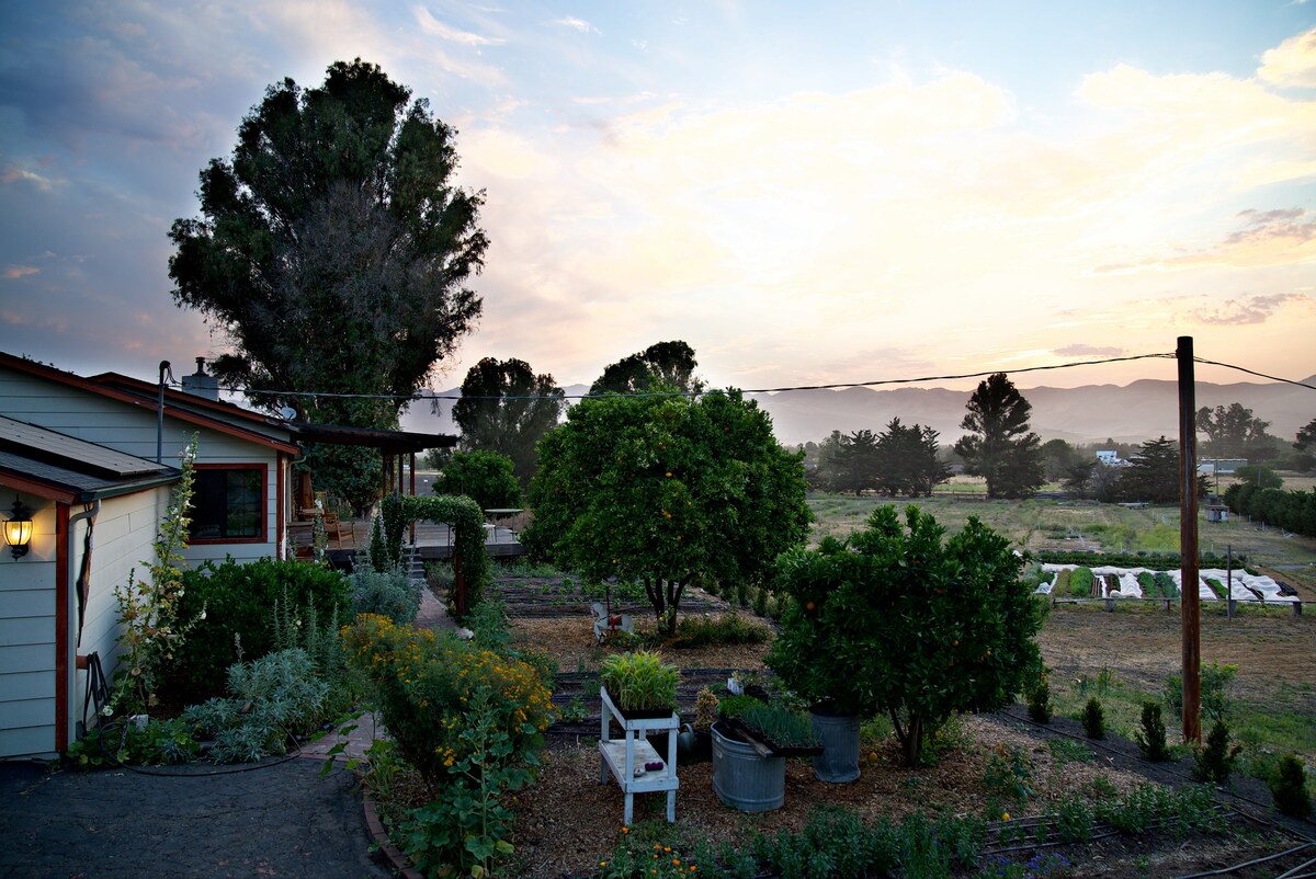 Edna Valley Small Farm Stay