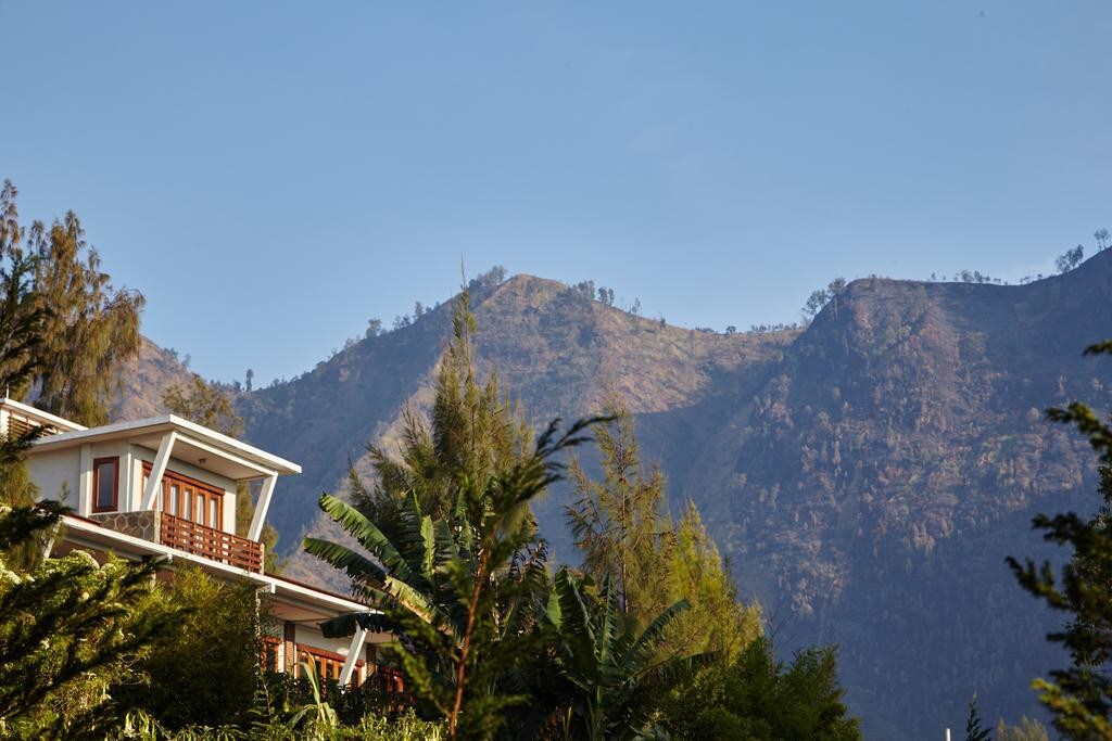 Junior Suite Room at Jiwa Jawa Bromo