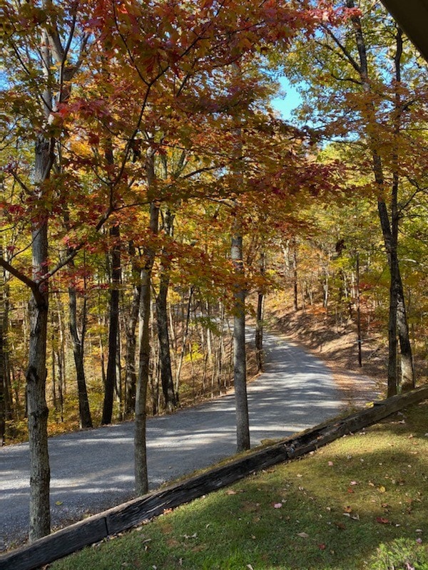 烟雾缭绕的山区度假胜地