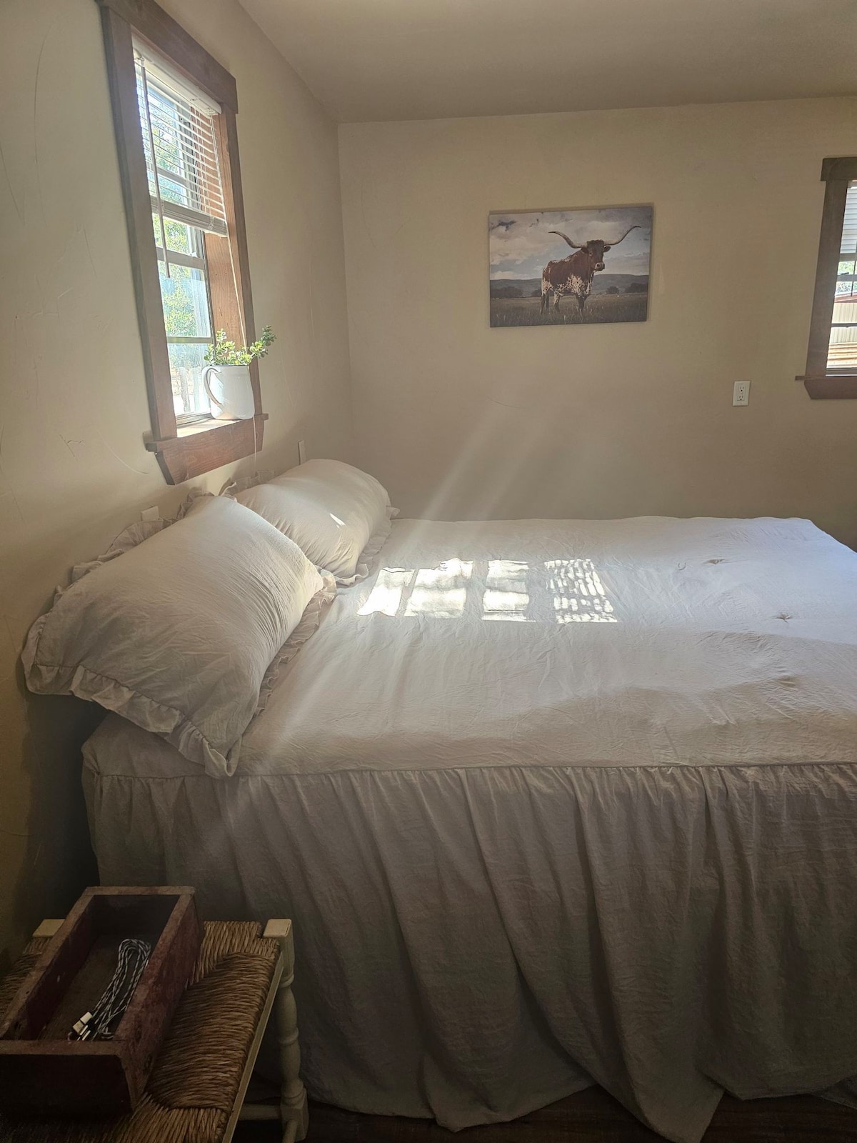 Live Oak Cabin and Horse Hotel