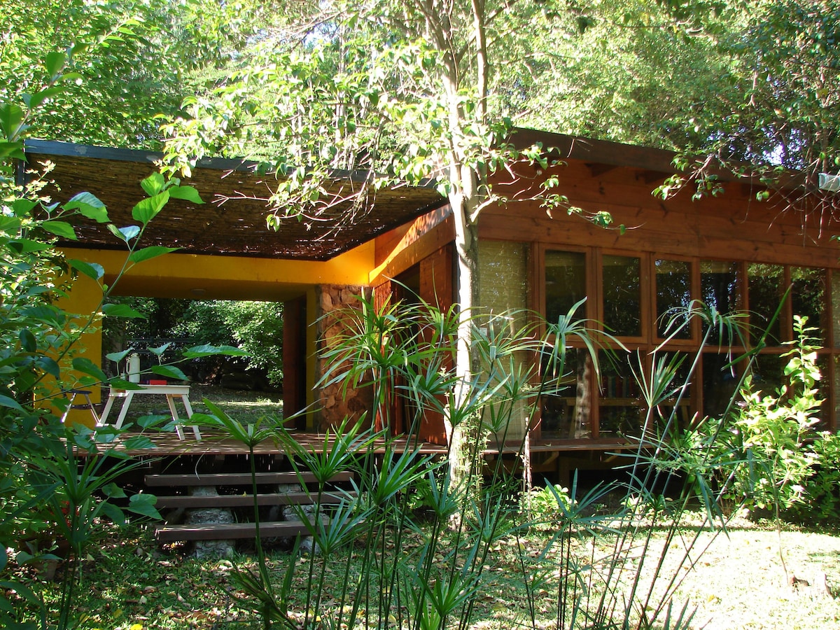 带泳池和私人公园的设计师小木屋。