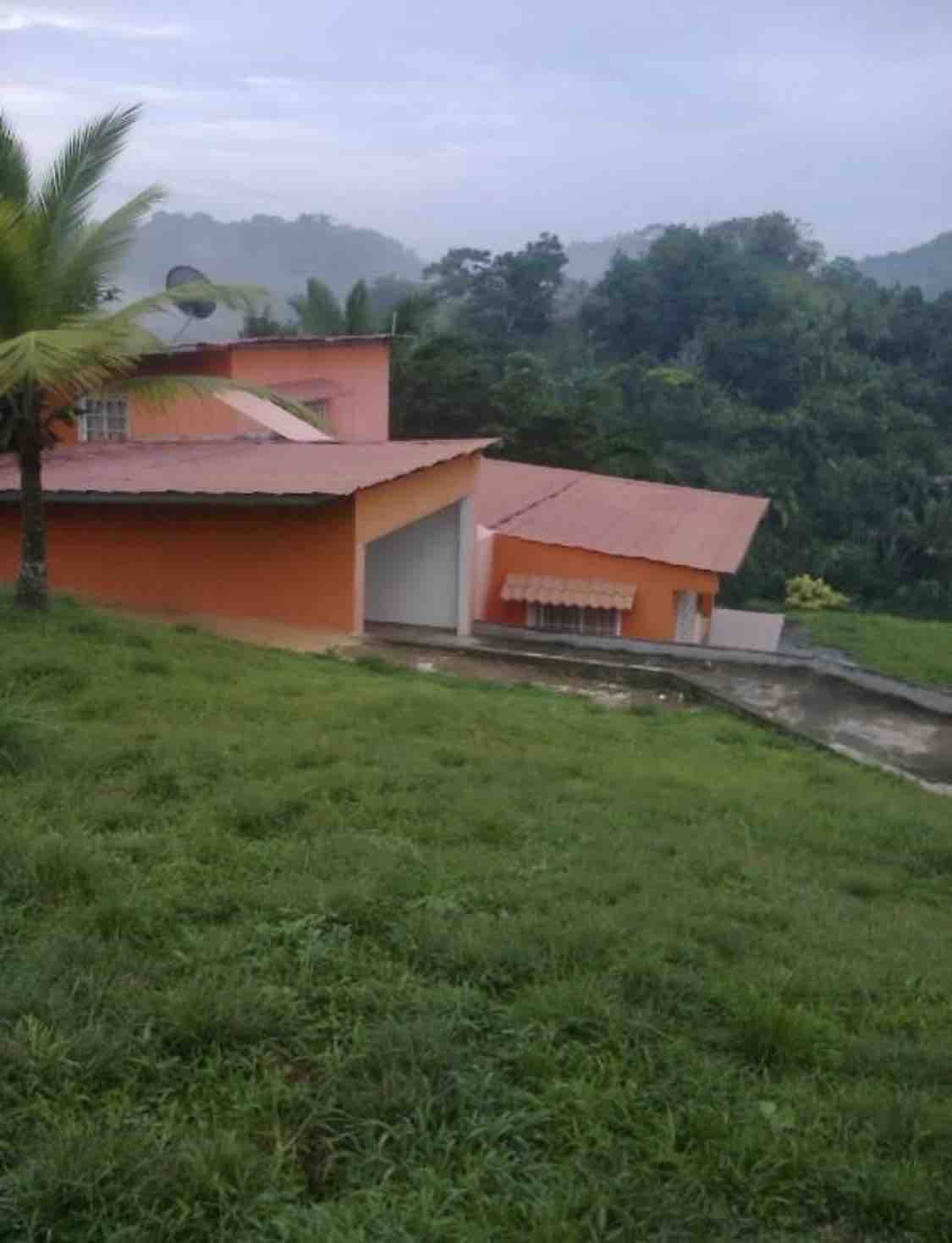 Finca La Loma en area remoto y verde silencioso.