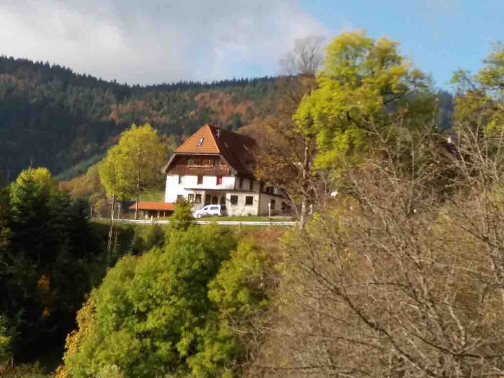 Ferienhaus, Black Forest