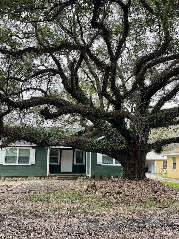 New Orleans Charm - 1950s Olde Bungalow