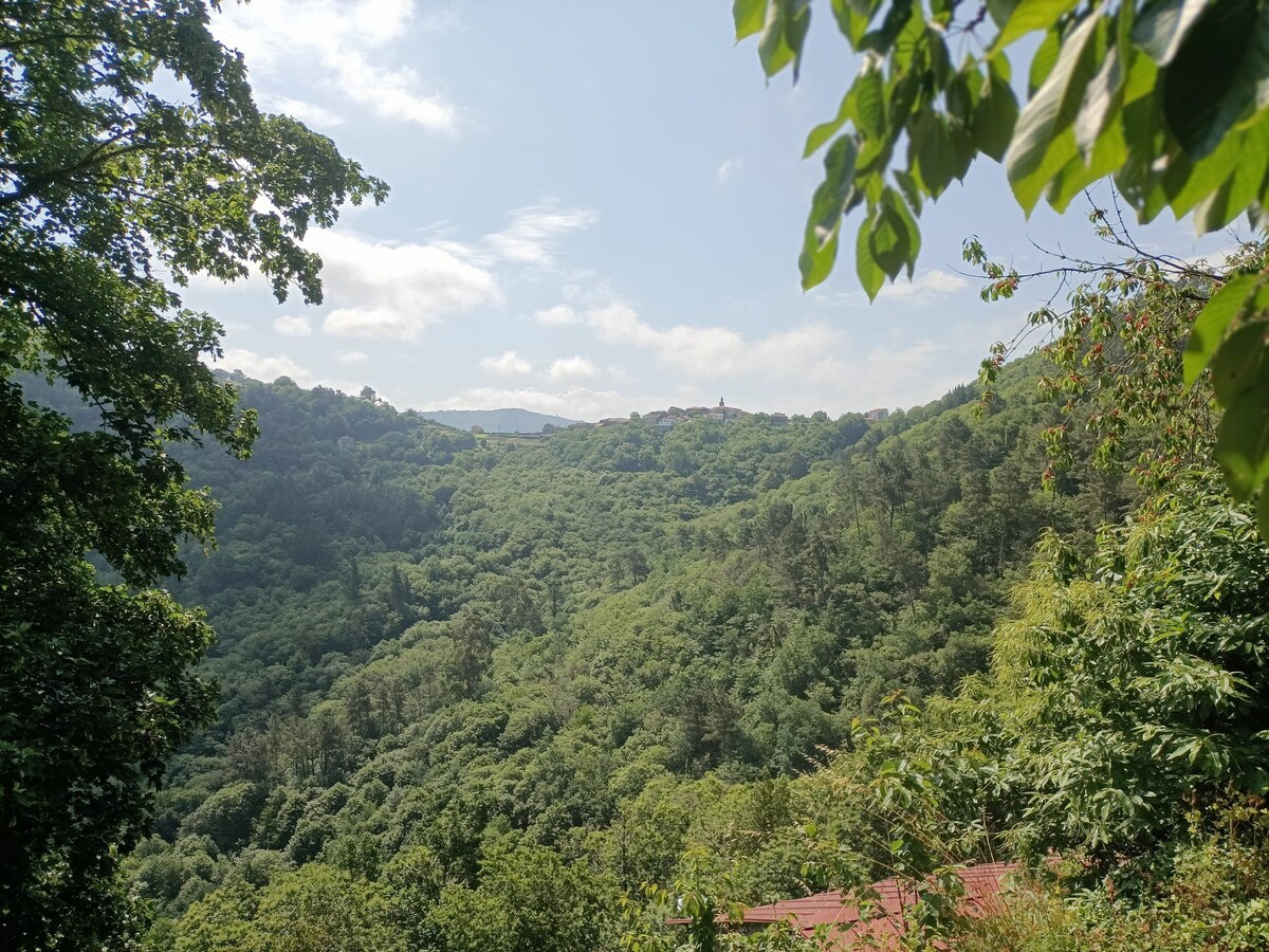 里贝拉萨克拉（ Ribeira Sacra ）的舒适住宿。