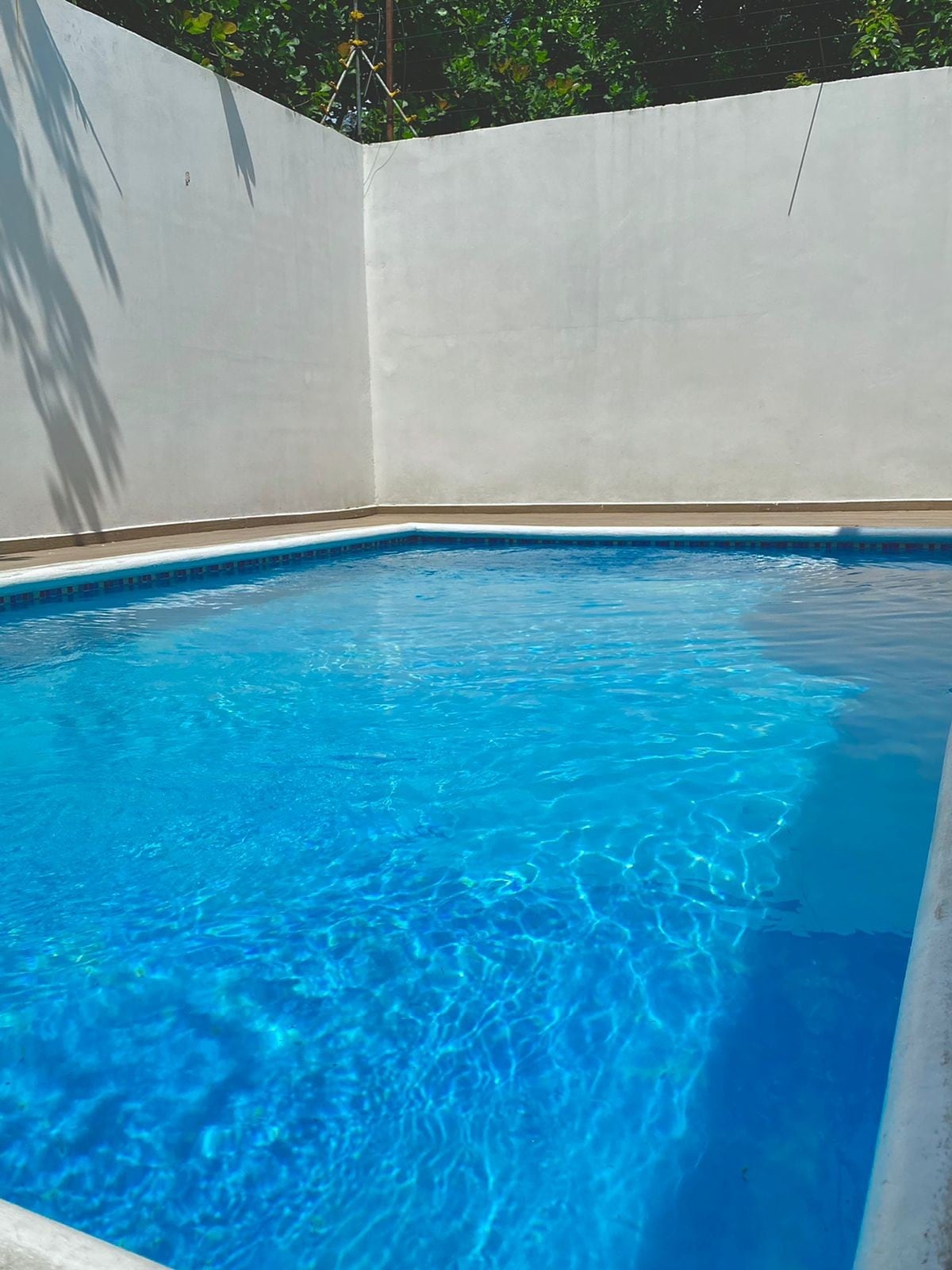 Casa llena de vida con piscina!