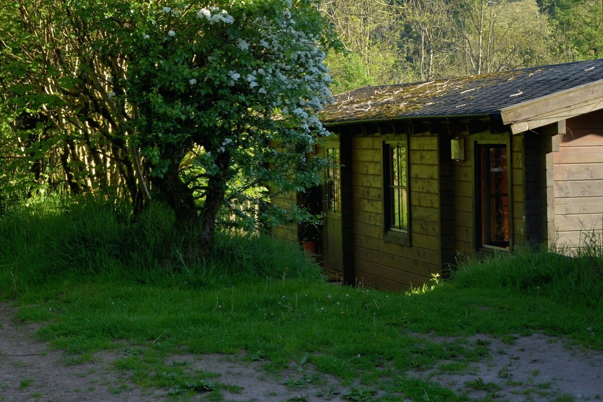 在威尔士山丘农场的隐蔽小木屋