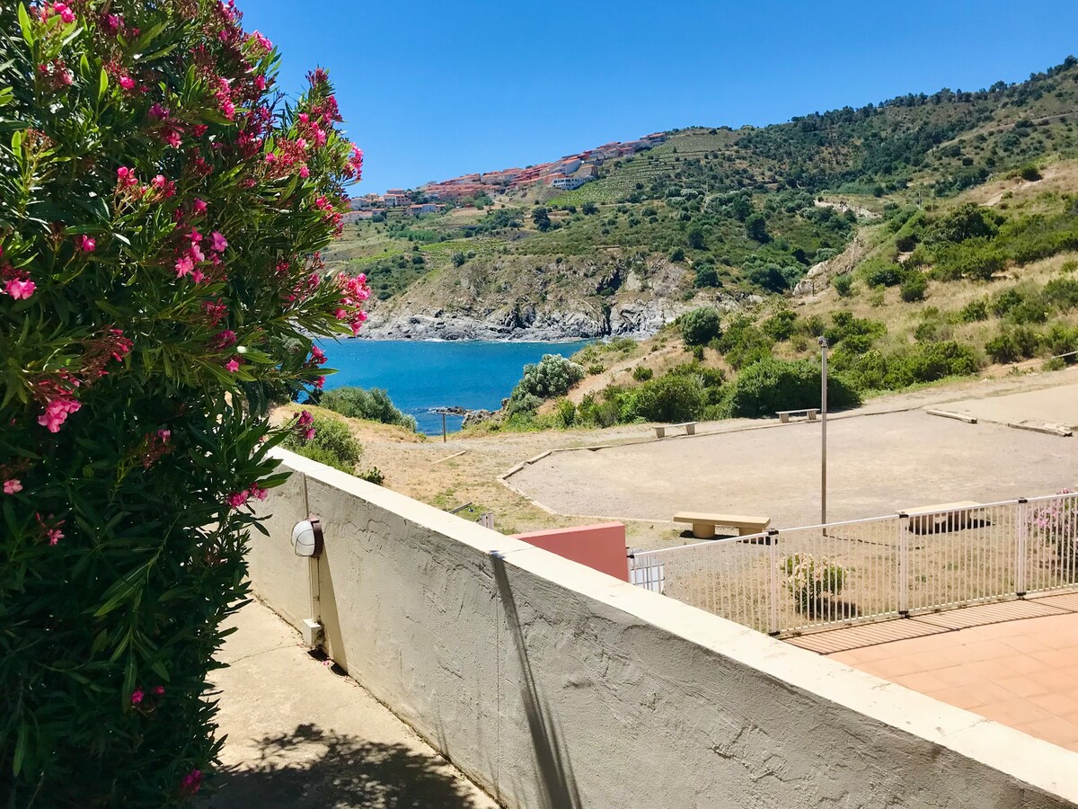 Vue mer, Accès plage à 50 m. 4 pers Wifi .