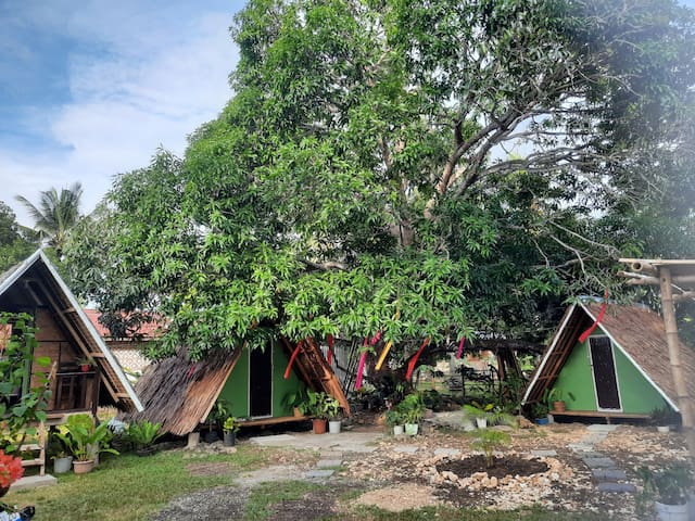 邦劳岛（Panglao）的民宿