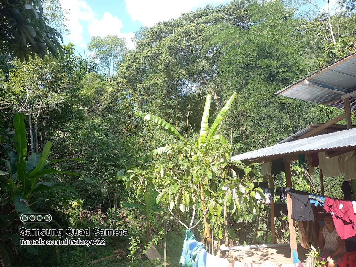 Casa con vista a la selva (1)